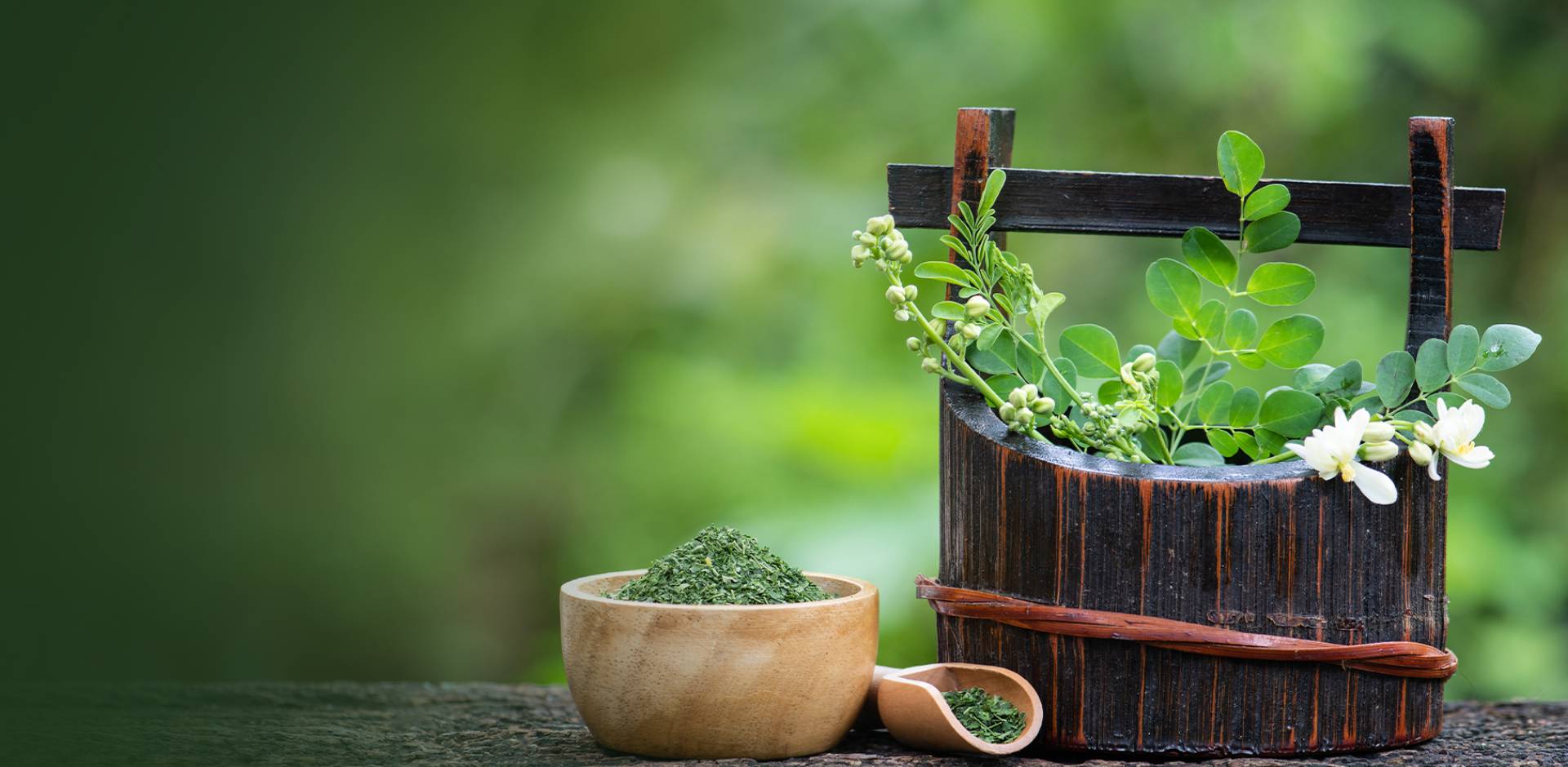 Welcome to Gavi Ayurveda